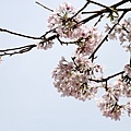 20110314_318.JPG