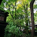 20101028_338.jpg