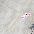 20110301_076.JPG