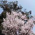 20110402_159.JPG