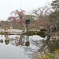 20110402_113.JPG