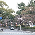 20110402_074.JPG