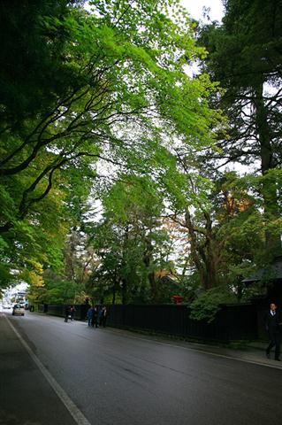 20101028_345.jpg