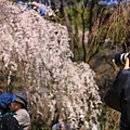 20110401_136.JPG