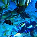 20100628_130.jpg