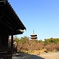 20110401_055.JPG