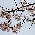 20110314_316.JPG