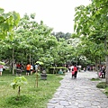 20110501_043.JPG