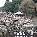 20110402_351.JPG