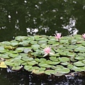 20110501_067.JPG