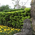 20110501_022.JPG