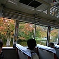 20101025_317.jpg