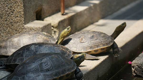 DSC00006.JPG DSC00006.JPG