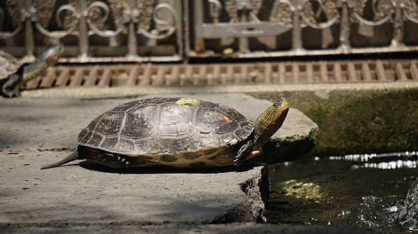 DSC00007.JPG DSC00007.JPG