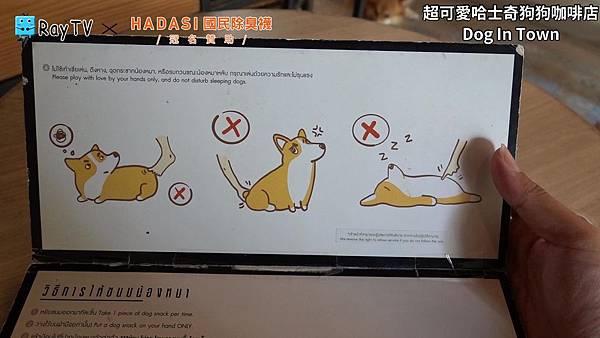 SnapShot(13) SnapShot(13)