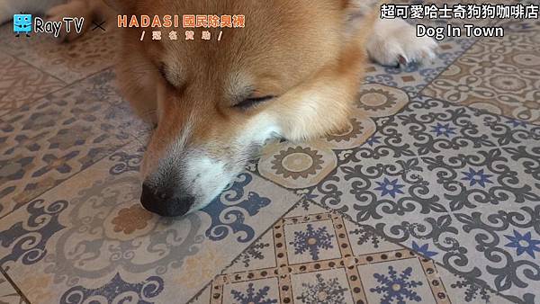 SnapShot(18) SnapShot(18)