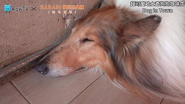 SnapShot(17) SnapShot(17)