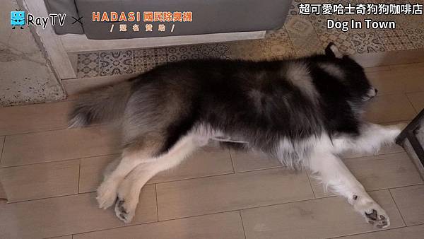 SnapShot(19) SnapShot(19)