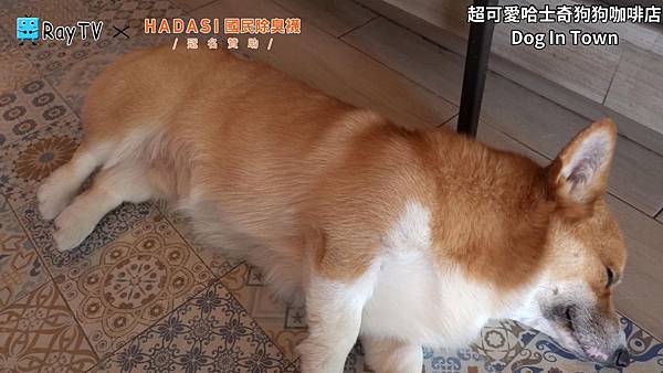 SnapShot(20) SnapShot(20)