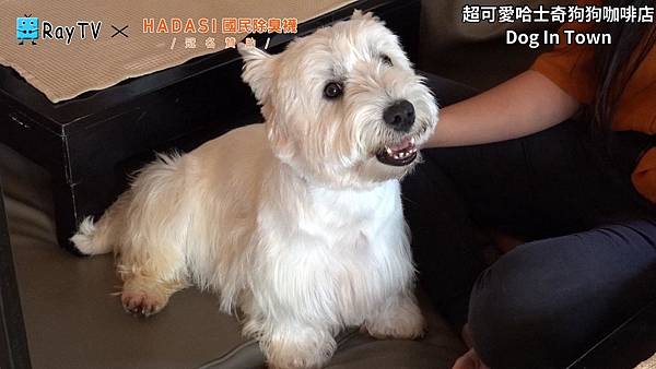 SnapShot(21) SnapShot(21)