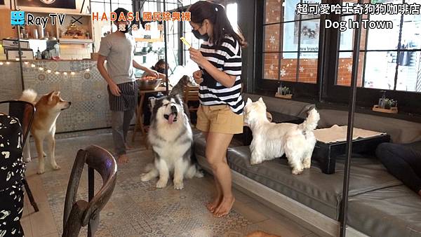 SnapShot(22) SnapShot(22)