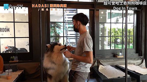 SnapShot(23) SnapShot(23)