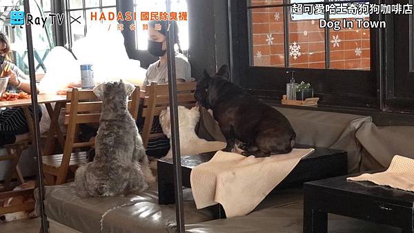 SnapShot(24) SnapShot(24)