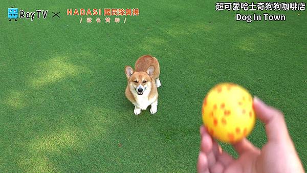 SnapShot(1) SnapShot(1)