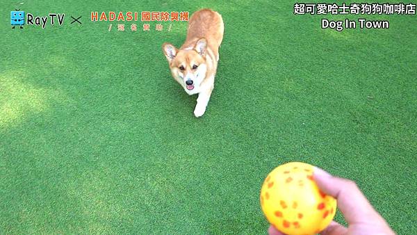 SnapShot(27) SnapShot(27)