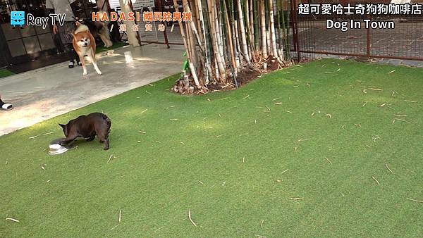 SnapShot(26) SnapShot(26)