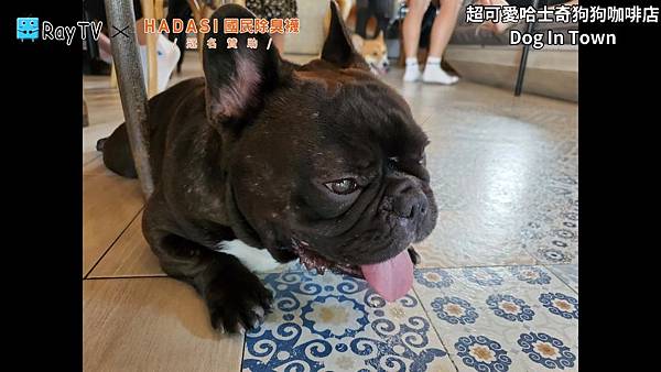 SnapShot(28) SnapShot(28)