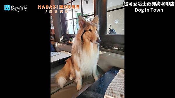 SnapShot(29) SnapShot(29)