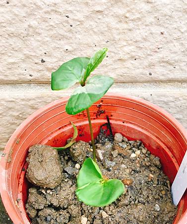 20170818_2 20170818_2