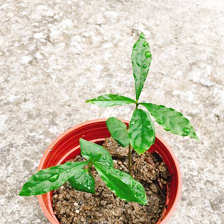 20170910_2 20170910_2