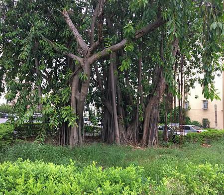 20160809_3 20160809_3