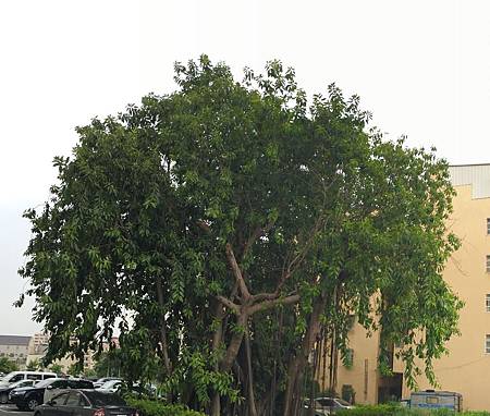 20160809_2 20160809_2