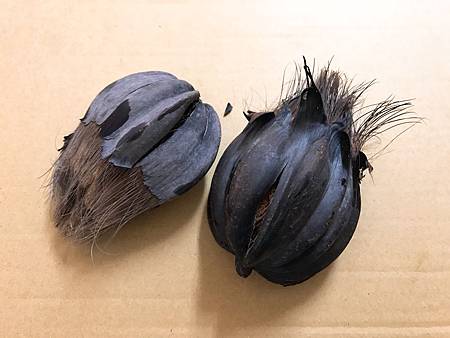 20180907_2 (3) 20180907_2 (3)