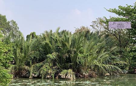 /tmp/php1cuugf /tmp/php1cuugf