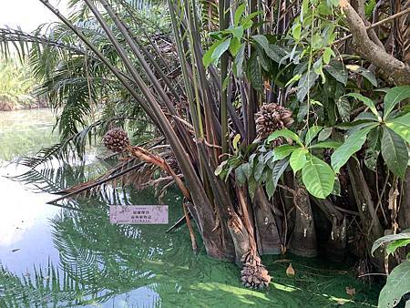 /tmp/phpqkgECM /tmp/phpqkgECM