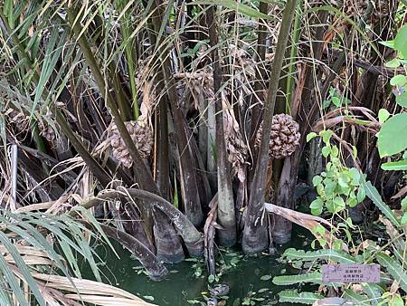 /tmp/phpYXuWrG /tmp/phpYXuWrG