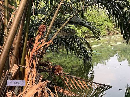 /tmp/phpo2aCWR /tmp/phpo2aCWR