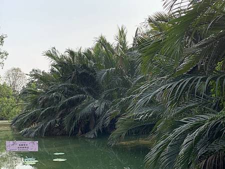 /tmp/phpdWxjJ5 /tmp/phpdWxjJ5