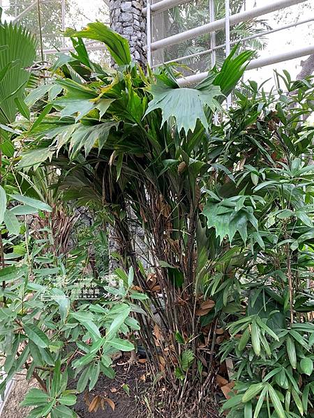 /tmp/php2DQFNv /tmp/php2DQFNv