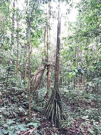 /tmp/phpHvlppn /tmp/phpHvlppn