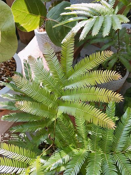 /tmp/php1mBWmh /tmp/php1mBWmh