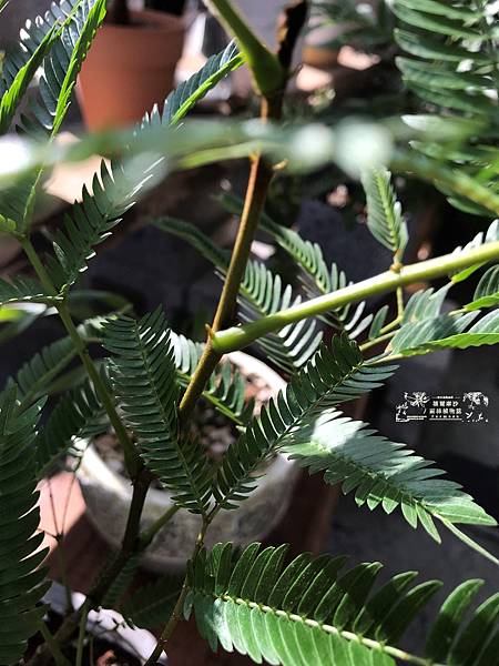 /tmp/phpze6ndG /tmp/phpze6ndG