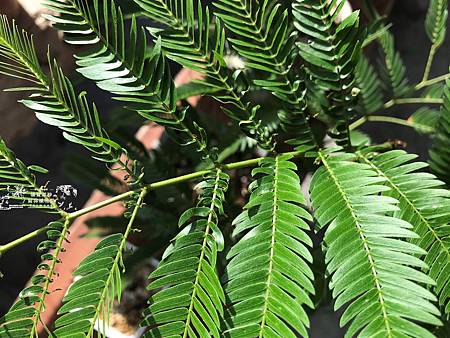 /tmp/phpKeyrJB /tmp/phpKeyrJB