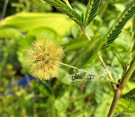 /tmp/phpz9ZUxd /tmp/phpz9ZUxd