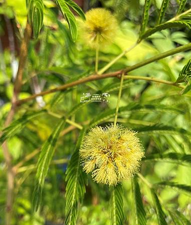 /tmp/phpymz0Hd /tmp/phpymz0Hd