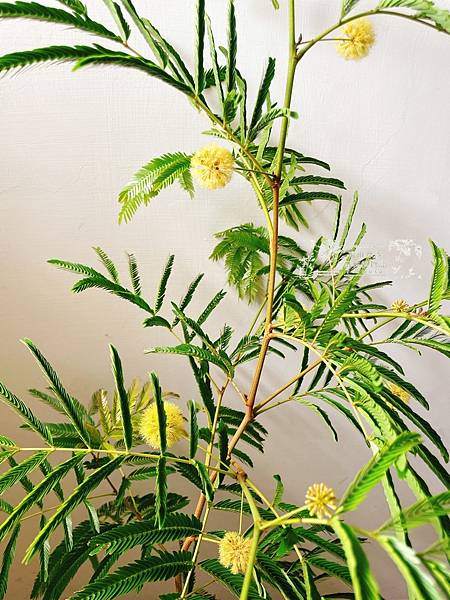 /tmp/phpI6jUiD /tmp/phpI6jUiD